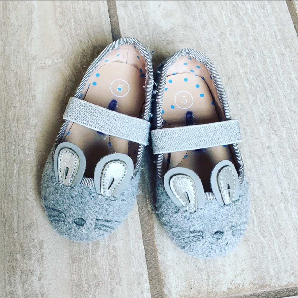 Gray Bunny Flats